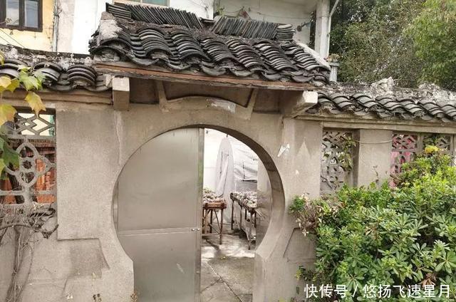  [肉类]冬日里的绚烂！养多肉是一个可以坚持到老的爱好！