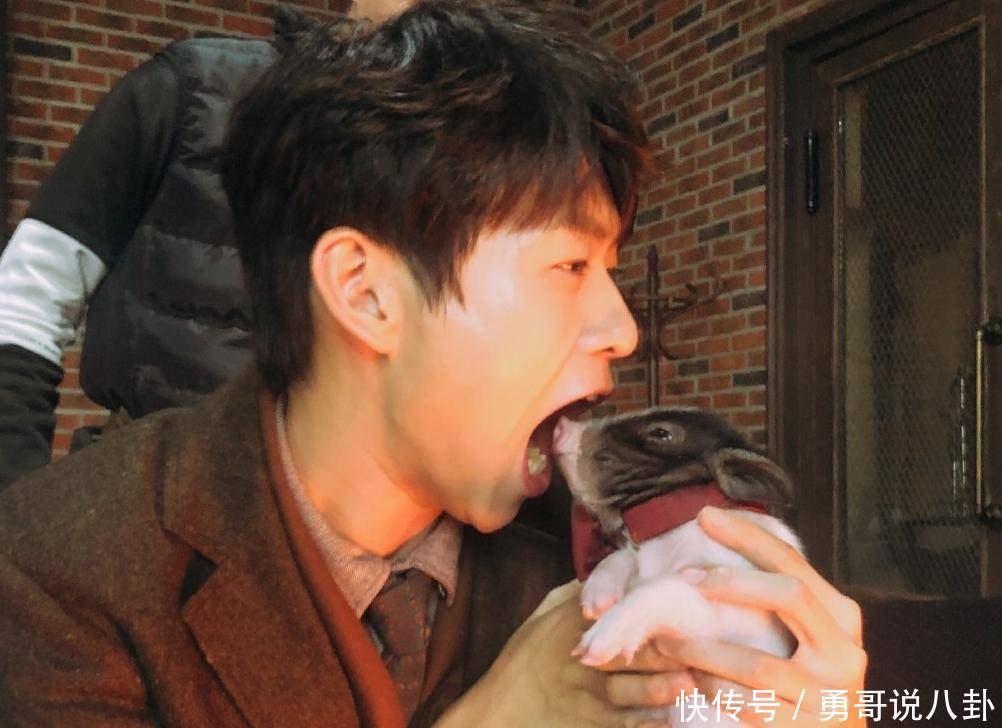 杨幂沈腾魏大勋