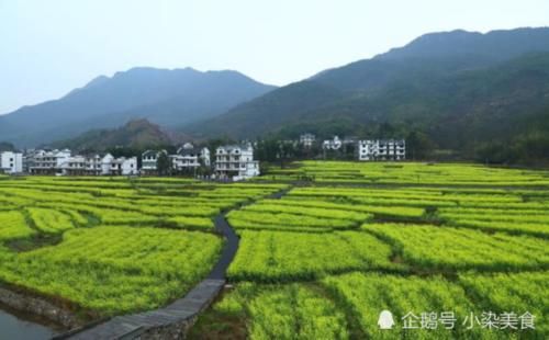  「农民」“合村并镇”将会在全国开展？想多了，让农民搬迁不是