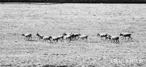 进藏铁路, 公路总共有多少条, 未来还要建多少条呢?