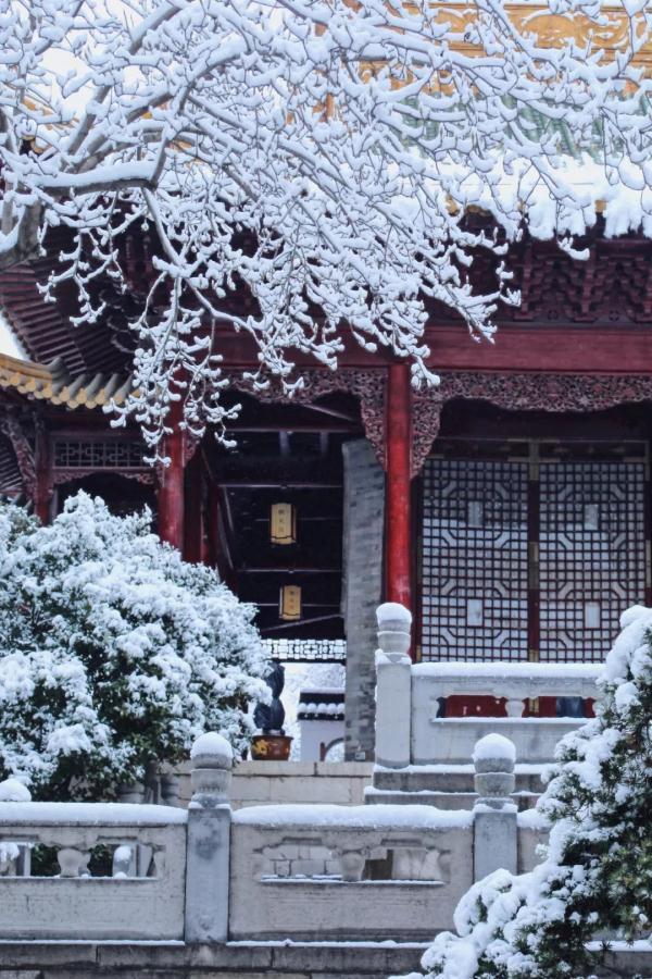 雪后的南京真美！