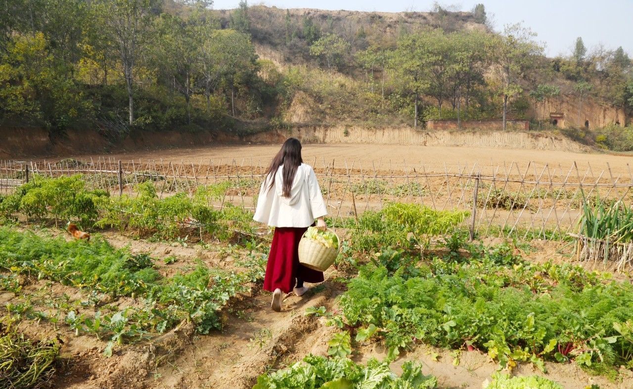 50亩地是多少平方米