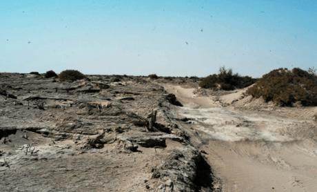 中国面积最大的镇，相当于46个香港！而曾经的楼兰古国就在这里