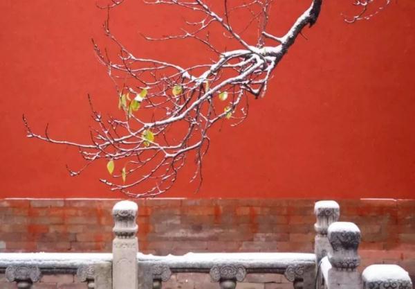 雪里山河，水墨中国