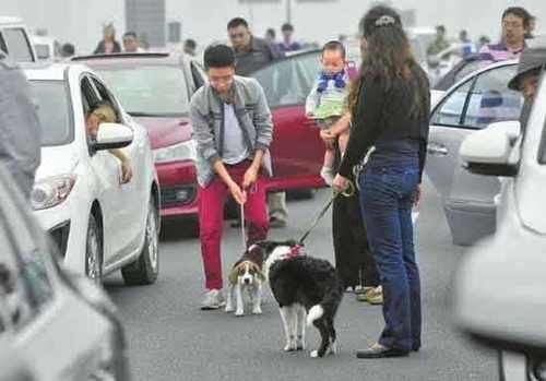  高速@科技为什么没能改变春运高速大塞车？