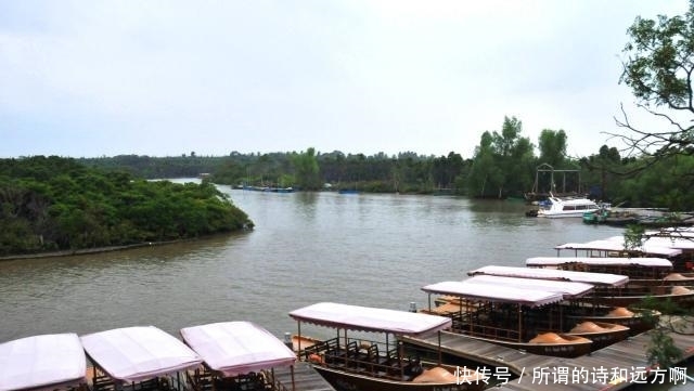 海南最美的海岸线:5公里的红树林,国庆让你感受红树林里的纯美