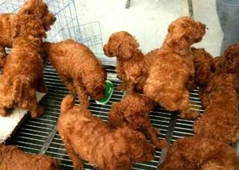  太搞笑■当遇到这些无厘头的巧合，图2让人傻傻分不清，图4让人笑出鼻涕泡