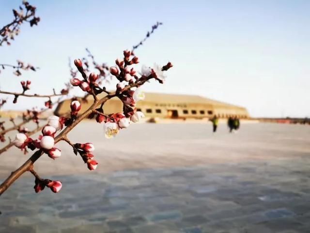 [旅行]水洞沟燃爆四月，不可错过的一次旅行！