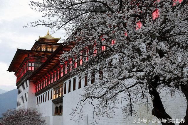 中国游客到不丹旅游，还没有入境就被罚款5万，知道是为什么吗