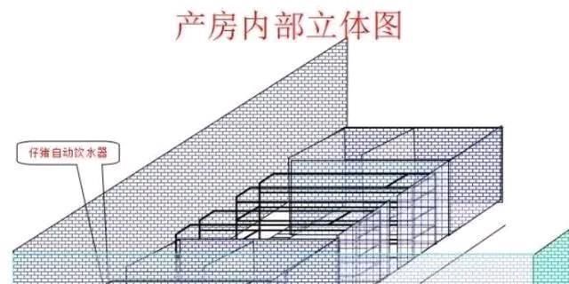 「费用」养猪场不再需要建猪舍了。这样建猪棚。不仅费用低，卫生也很干净