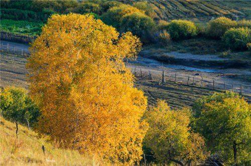 两千块也能玩出小众新天地?带你深度体验秋天最美神秘大草原