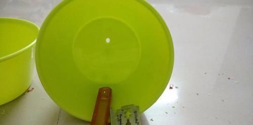  『盆栽植物』我用这方法扦插繁殖了几十盆的植物，薄荷、吊兰轻松培育