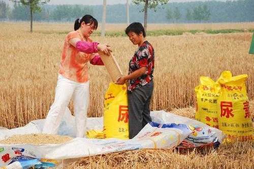  #生活#农民打工年收入6万元，在农村算高收入吗？你一年能挣多少