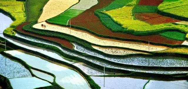 联通全国无限流量卡(政企优惠卡),29元一月,每