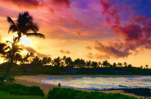 全球最潮湿的地方,每年平均有335天下雨,却形成了一处独特风