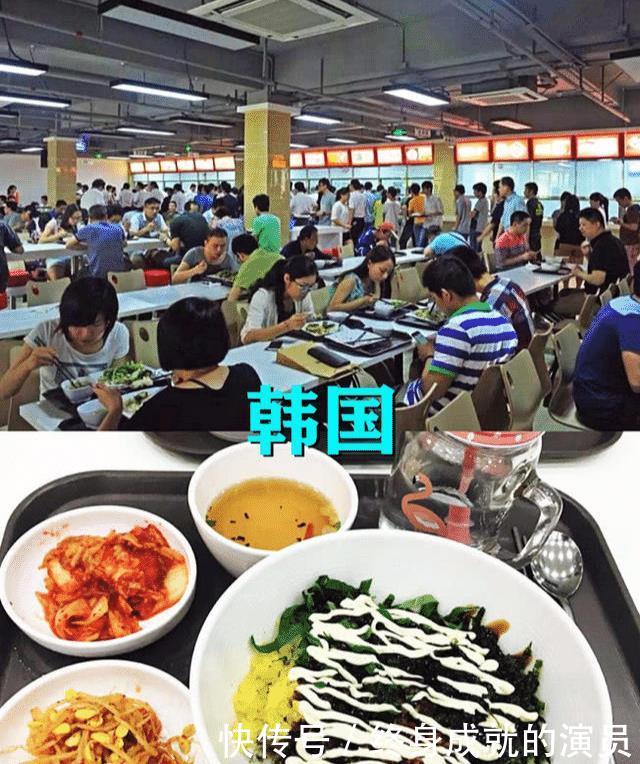 同是食堂:中国VS韩国VS伯克利,差距飞出银河