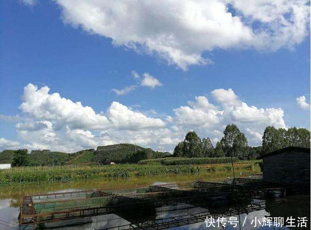 炎热的天气在冰凉的泉水里钓鱼，渔获虽少但给钱都不卖