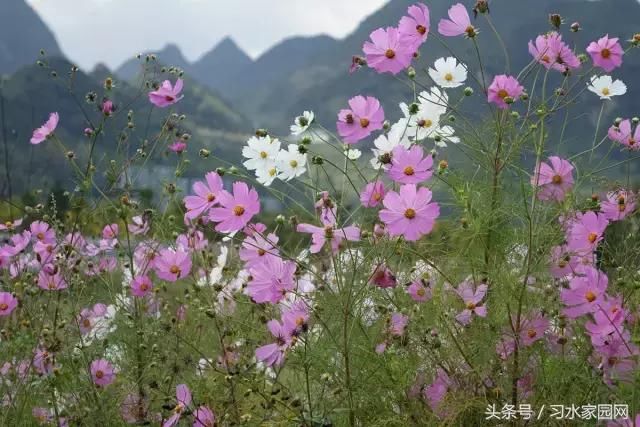 贵州居然要改名了！据说新名字是……