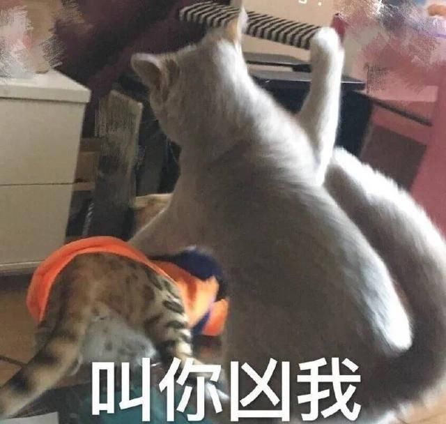  『把握』幽默笑话：其实想冒充一个专业的艺术老师很简单，把握三个诀窍