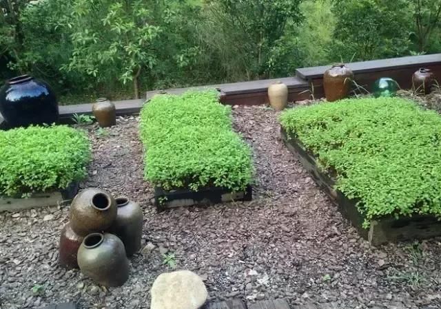 {私家庭院设计}这才是乡村庭院该有的样子！