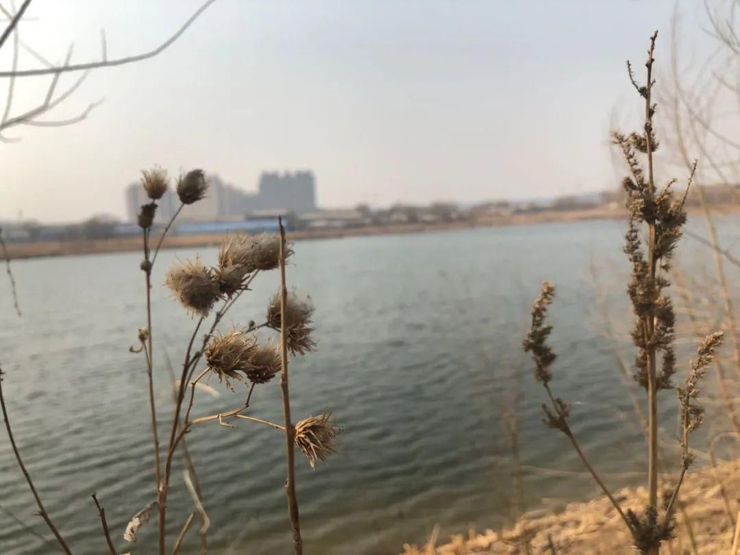  蹿到：@长春人，明天可以穿短袖喽！最高气温蹿到了21℃…
