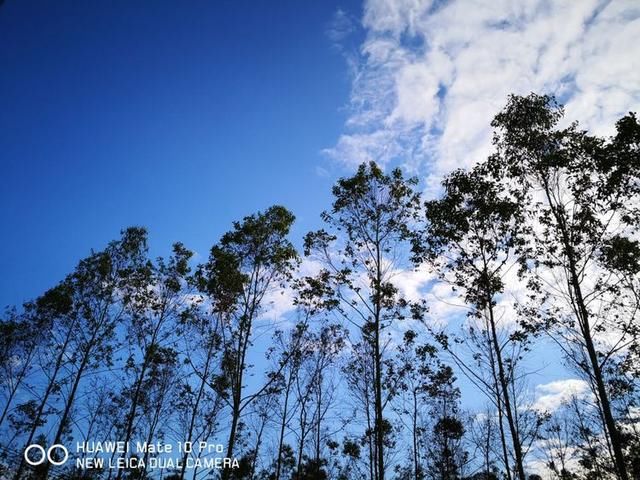 手机摄影丨华为MATE 10 Pro手机摄影操作技巧