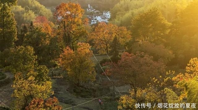 9月来袭!彩林红叶齐绽放,快让国内这6个地方承包整个秋天