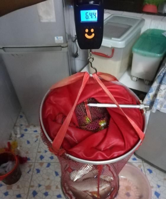 「荒期」掌握这14个钓鱼技巧,鱼荒期都能钓到手软!新手每天都要读一遍