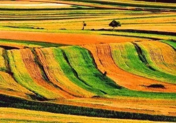 国庆最新放假通知来啦！这些变化一定要知道