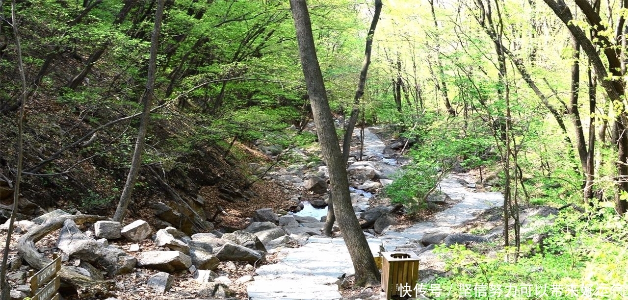 东北一座不知名森林公园,为何敢叫板华山称天下第一险?有何特殊