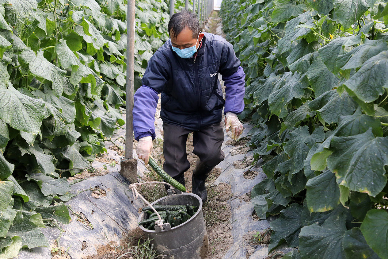  争分夺秒@广东疫线报告|疫情下的“菜篮子”：一场争分夺秒的全