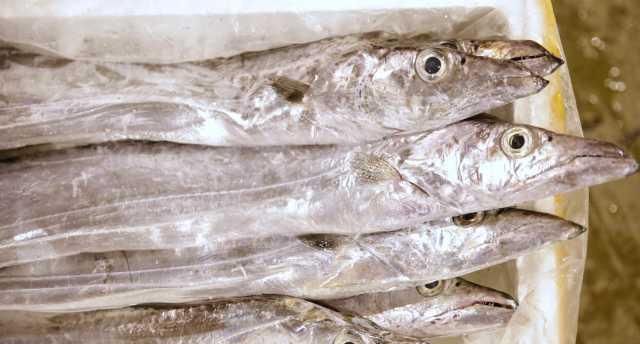  「小世界」大湾区小世界：猪肉已经吃不起？来吃开渔后的海鲜吧