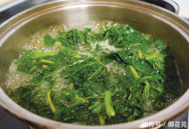 农村这个野菜，别当害草除掉，如今全国稀少，遇见请珍惜