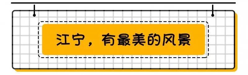 南京最强!江苏第一!江宁又在全国出名了