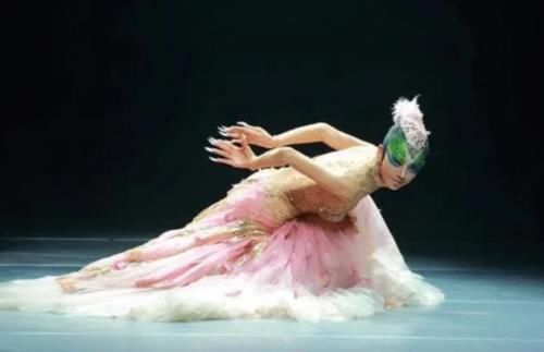 杨丽萍3000万“月亮宫”被封？内里的“肮脏”，外表再美也无用