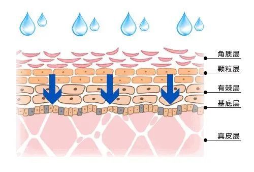  「皮下组织」热门医美项目“水光针”，真的有效果吗？