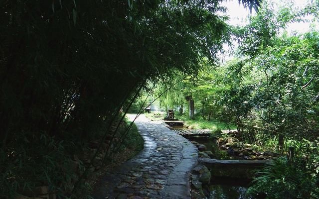 曾经世外桃源，当年最美乡村，山东竹泉村