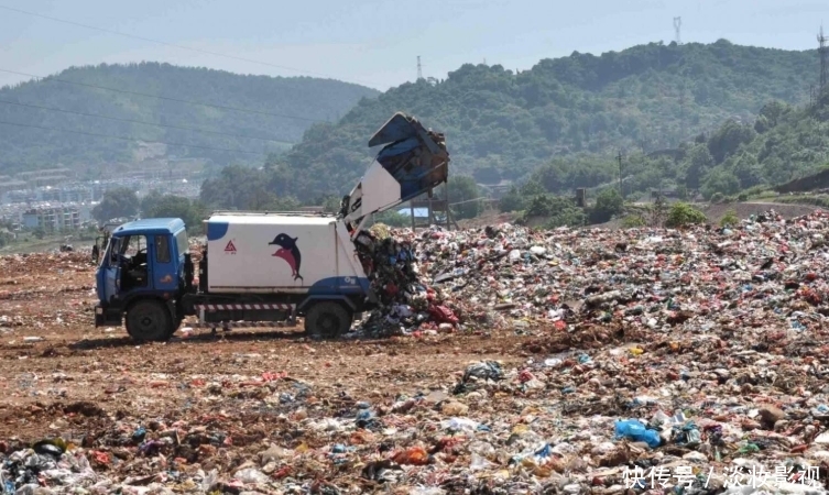  「垃圾场」印度最大的垃圾场，生活着比人还大的巨鸟，贫民宁捡垃圾也不吃