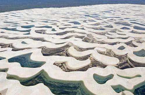 世界最独特的沙漠，每年降雨量1600毫升，还有鱼生活