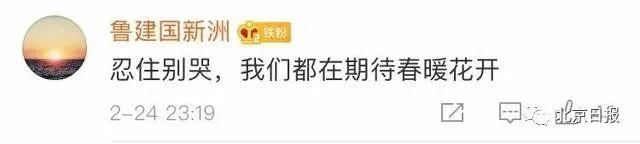  证明是成功：“世界欠你们的！”听到世卫专家的评价，翻译小姐