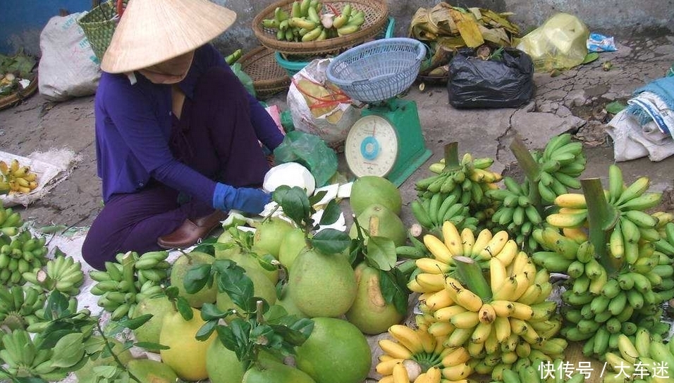 去越南旅游时，若是遇到水果店老板主动给你递手套，最好直接拒绝