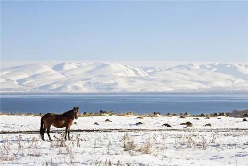 亚洲神秘国家即将免签！人少景美物价低，目测要火