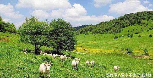  #唯一#陕西唯一能跑法拉利的城市，干净程度没话说！
