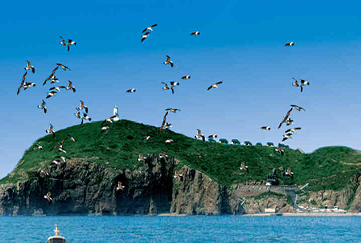  「威海」中国一座城市，干净得连日本人都啧啧称赞，国人在这里