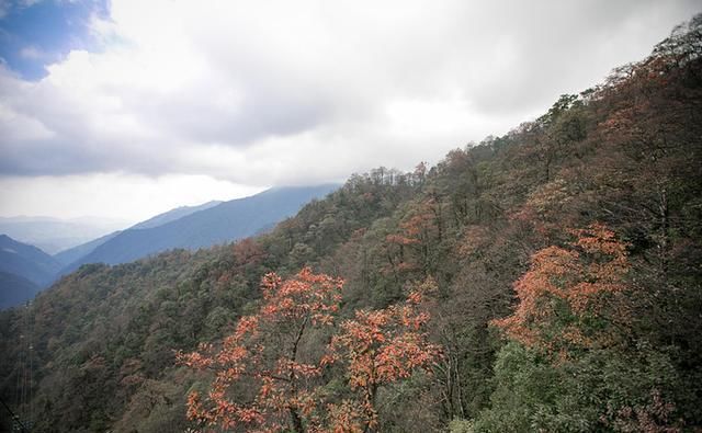 梵净山，感受仙境一样的世界遗产