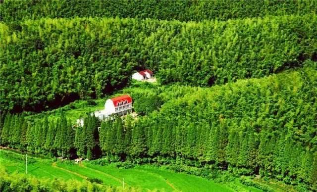 66岁大叔，8年时间打造出了中国最美私家花园，让人叹为观止！