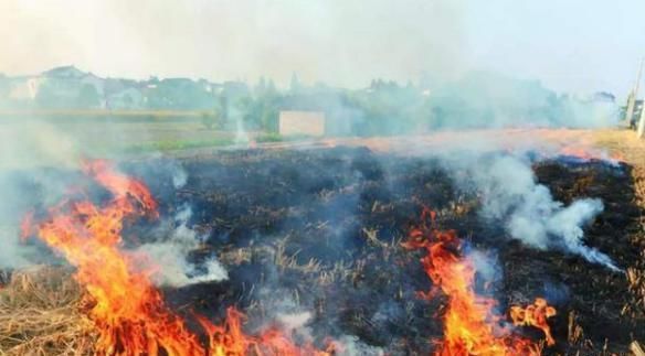 农村有四种行为将被视为违法，村干部带头严查，违法重罚，要重视