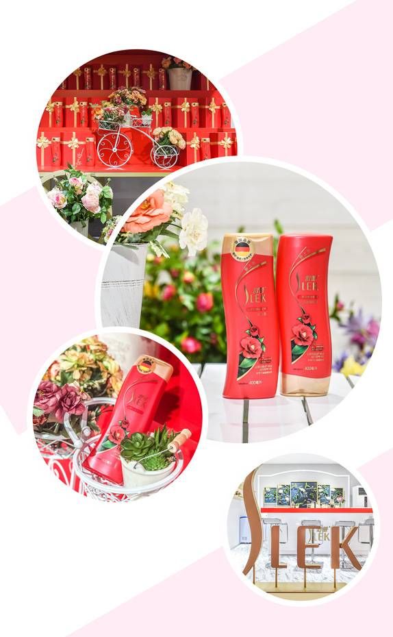 舒蕾“神秘礼盒”限时登陆石家庄 植萃内涵释放品牌年轻动力