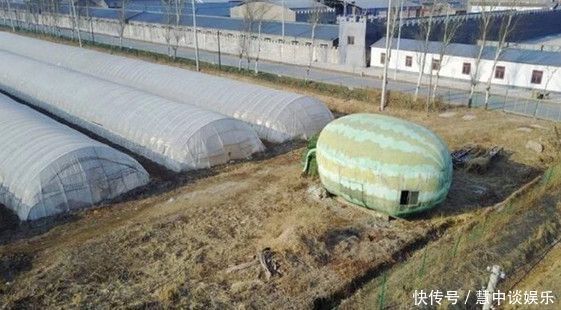  「长出」农民地里长出8米大“巨型西瓜”,细看之后大家都笑了！