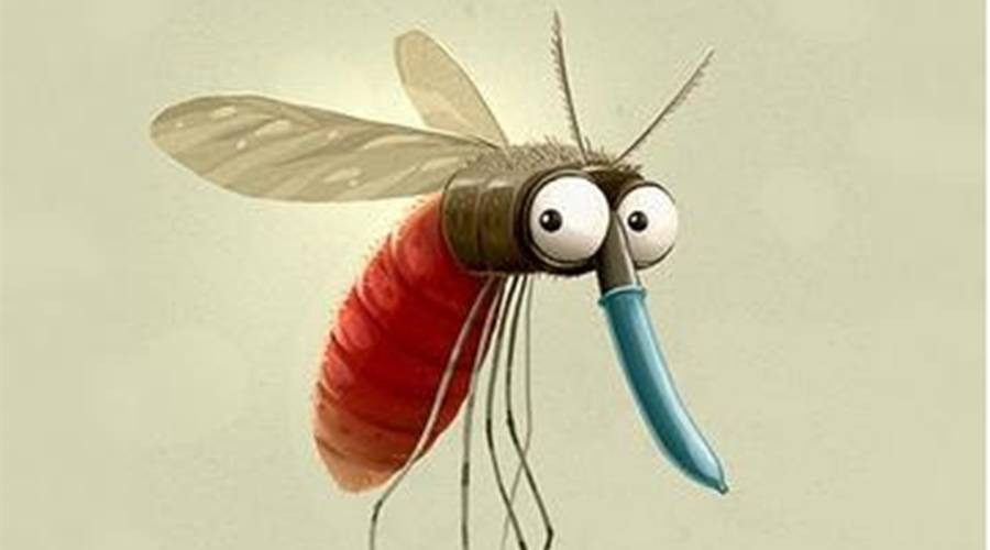 你听说过多少网传驱蚊妙招,这些真的可信吗?